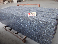 Dalle de granit Labrador Blue Pearl Prix