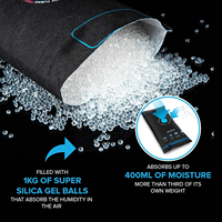Nouveau sac de déshumidificateur réutilisable pour voiture sèche Van Home Gel de silice Absorbeur d'humidité Indicateur de changement de couleur avec tampon antidérapant