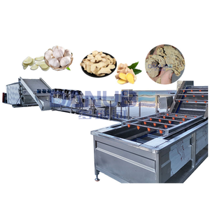 Séchoir à bande continue pour la déshydratation du gingembre, de l'ail et du curcuma – Machine de séchage pour usine - Product Image 1