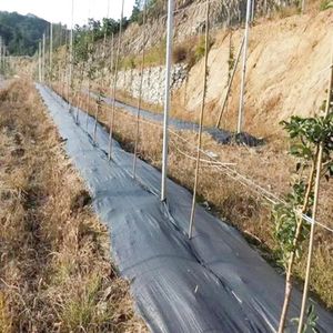 Contrôle des mauvaises herbes à bas prix d'usine pour lit <span class=keywords><strong>de</strong></span> fleurs, paillis, pavés, bordures, piquets <span class=keywords><strong>de</strong></span> jardin couverture du sol barrière contre les mauvaises herbes - Product Image 5