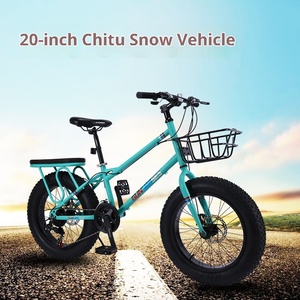 Vélo de <span class=keywords><strong>montagne</strong></span> Red Rabbit de 20 pouces avec freins à disque doubles et cadre en acier au carbone, disponible en plusieurs couleurs - Product Image 4