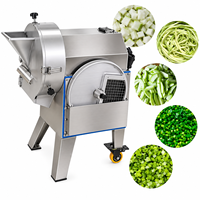 Machine à découper les courges amères et les patates douces, trancheuse électrique de légumes, hachoir de cuisine, machine à couper les chips de plantain