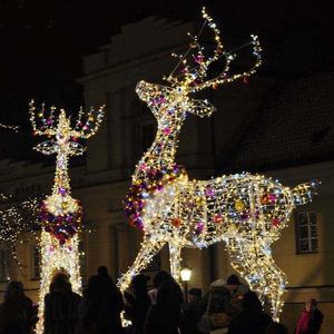 جديد مخصص عيد الميلاد الرنة العملاقة لفي الهواء الطلق الحدث التجاري حزب زخارف الغزلان ضوء الديكور - Product Image 4