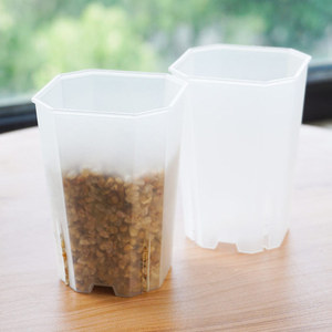 <span class=keywords><strong>Pot</strong></span> Macetas carré en plastique Transparent à fente haute pour la décoration de jardin à la maison plante de bonsaï et jardinières de fleurs succulentes - Product Image 6