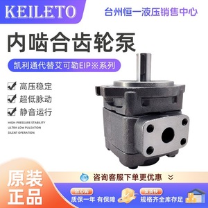 Pompe à engrenages interne Keileto EIPC3 020 25 32 40 50 64 RA23 10 Hydraulique Haute Pression Stable Faible Pulsation Fonctionnement Silencieux - Product Image 4