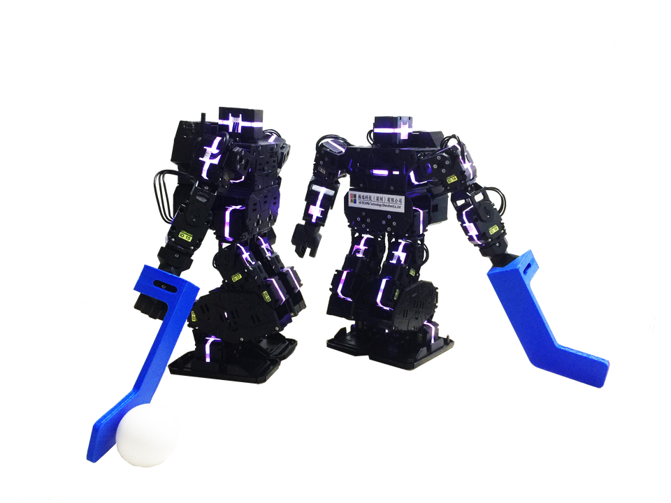 LINE-CORE M Humanoid Biped Robot Kit Middle School STEM Education AI ...
