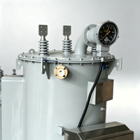 Transformateur de distribution monophasé immergé dans l'huile Shenmeng ZBSVR 100 kVA, SVC en cuivre, stabilisateur automatique sous charge 10 kV