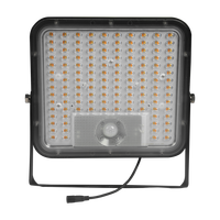 Projecteur solaire extérieur DIY ultra lumineux 150LM/W, lampe de sécurité solaire avec télécommande, 2 CCT en option