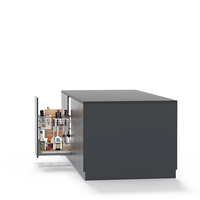 Organizador de Armário de Cozinha Retrátil Estilo Gaveta com Design Moderno Personalizado em Aço Carbono à Prova de Vazamentos para Temperos