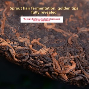 Thé Pu-erh Ripe Golden Bud <span class=keywords><strong>de</strong></span> Yunnan Mansong, vintage 2003, 357g, en galet, vieilli, <span class=keywords><strong>de</strong></span> vieilles plantes, pour collection - Product Image 3