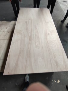 Arserwood <span class=keywords><strong>precio</strong></span> <span class=keywords><strong>de</strong></span> fábrica hoja <span class=keywords><strong>de</strong></span> madera contrachapada Lisa abedul eucalipto Álamo hojas <span class=keywords><strong>de</strong></span> madera contrachapada 12mm 15mm 18mm madera contrachapada para aislamiento - Product Image 3