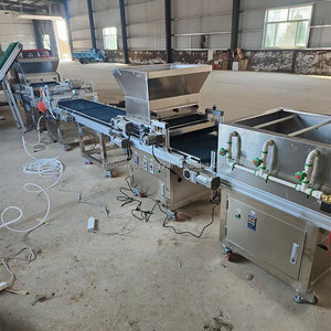 <span class=keywords><strong>MX</strong></span> Plantador de plántulas agrícolas Máquina de plantación de plántulas de cobertizo de verduras Máquina de siembra de plántulas de bandeja completamente automática - Product Image 4