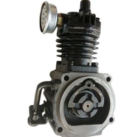 Nouveau compresseur d'air Diesel QUANCHAI avec garantie de 3 mois pour les tracteurs agricoles Foton Lovol (Origine Chine 5,5 kg)