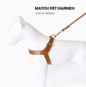 Luxuriöses Hundegeschirr- und Leinenset aus Rindsleder für Katzen und Hunde, Ausbruchsicher, Haustierleinen und Halsbänder, Hundeleine aus Leder - Product Image 2