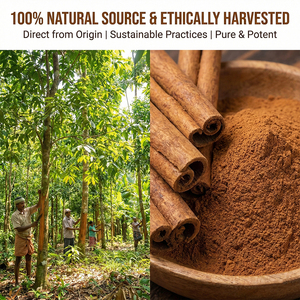 สารสกัดสมุนไพรอบเชยธรรมชาติ คินนามาลเดไฮด์เข้มข้น อาหารเสริมเพื่อสุขภาพ ชนิดผง รสชาติเข้มข้น ละลายน้ำได้ 10:1-50:1 - Product Image 3