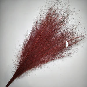 Flor Eterna, Decoraciones para Bodas, Hierba Muhly Seca, Ecológica, para el Hogar, Halloween, Navidad, Día <span class=keywords><strong>de</strong></span> la Madre, Graduación - Product Image 2