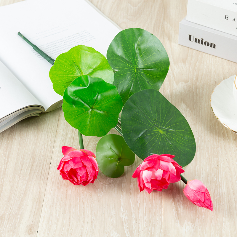 Rose garance