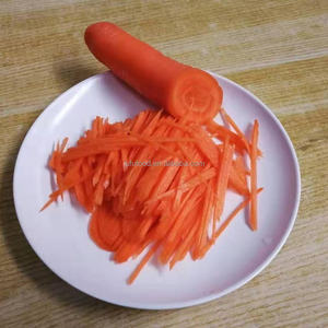 <span class=keywords><strong>2025</strong></span> cây trồng mới cà rốt tươi hữu cơ được trồng và đóng gói cẩn thận - Product Image 2