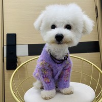Neuer Niedlicher Klassischer Gestrickter Bunter Nerzvelours-Pullover mit Polsterung Umweltfreundlich Kältebeständig Warm für den Winter