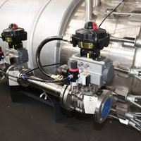 Pompe à filtre à bougie Unite Sanitary en acier inoxydable 304/316L avec lavage automatique en contre-courant, dimensions et tension personnalisables (110V/220V/380V)