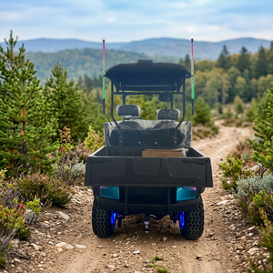 Véhicule tout-terrain électrique surélevé 2 places avec boîte de chargement, barre lumineuse LED sur le toit et barre de protection avant, chariot de golf - Product Image 5