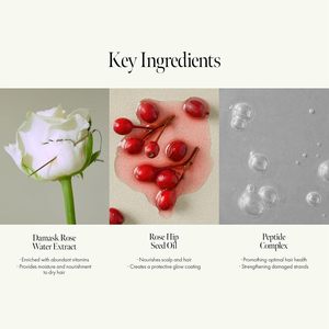 Shampooing sans rinçage lissant hydratant <span class=keywords><strong>réparateur</strong></span> anti-pelliculaire OEM ODM pour cuir chevelu bouclé et gras à l'eau de rose de Damas et aux graines de rose musquée - Product Image 5
