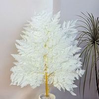Vente chaude Conservé Feuille De Fougère Alpine Fougère Feuille Bouquet pour Vase Arrangement Décoration Compagnon Feuillage et Décor De Vacances