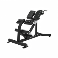Banc d'hyperextension à 45 degrés pour club de gym, appareil commercial d'extension dorsale pour exercices du bas du dos