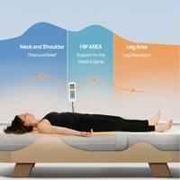 Masseur professionnel à prix d'usine OEM, rouleaux de jade pour tout le corps, de la tête aux pieds, chauffant, thermique, lit de massage