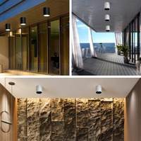 Projecteur monté en surface étanche IP65 vente en gros Spot lampe 10W 15W 20W 30W 40W 60W LED de plafond COB Downlight