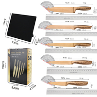 Golden Fournisseur Ensemble de couteaux Santoku Couteau de chef à revêtement antiadhésif Manche en plastique Matériau métallique pour usage domestique professionnel dans la cuisine