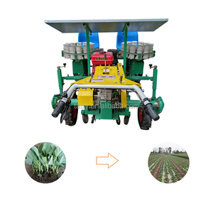 Machine à planter automatique de <span class=keywords><strong>semis</strong></span>, 2 rangs, poussée manuelle, planteuse de graines de légumes, d'oignons, planteuse de <span class=keywords><strong>semis</strong></span> - Product Image 1