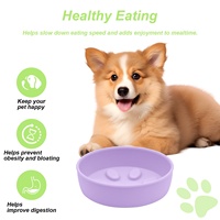 Bol à alimentation lente en silicone avec ventouse, anti-dérapant, anti-renversement, anti-étouffement, pour chiens et chats, facile à nettoyer