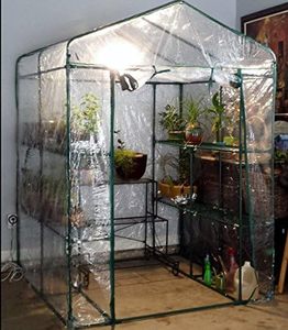 Serra Trasparente di Alta Qualità con Porta Avvolgibile e Copertura in PVC per Uso Interno o Esterno - Green House by Home-Complete - Product Image 5