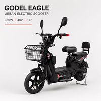 Vélo Électrique Urbain pour Commuter, Batterie au Lithium Amovible en Option, avec Panier Avant, Siège Passager Disponible, E-Bike Adulte