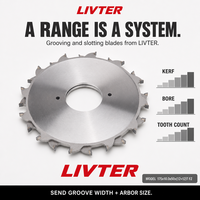 LIVTER Lame de scie à rainurer diamantée réglable et personnalisable toutes tailles 175x10.0x50 (12+12)T FZ pour le travail du bois