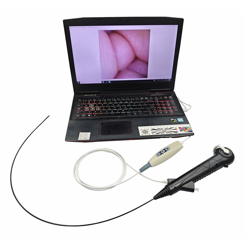 New Durable Disposable Endoscope Wholesale Medical