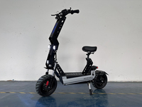 Trottinette électrique intelligente électronique 13 pouces