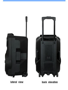 Altavoces Karaoke Bluetooth Feiyang, Cornetas Amplificadas con Bocina de 15 Pulgadas, Trolley Bluetooth Partybox, Subwoofer, Caja de Sonido - Product Image 5