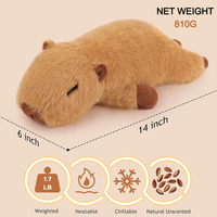 Coussin chauffant pour animaux en peluche, chauffe-mains, chauffe-mains à micro-ondes, sac en tourmaline, coussin chauffant pour micro-ondes
