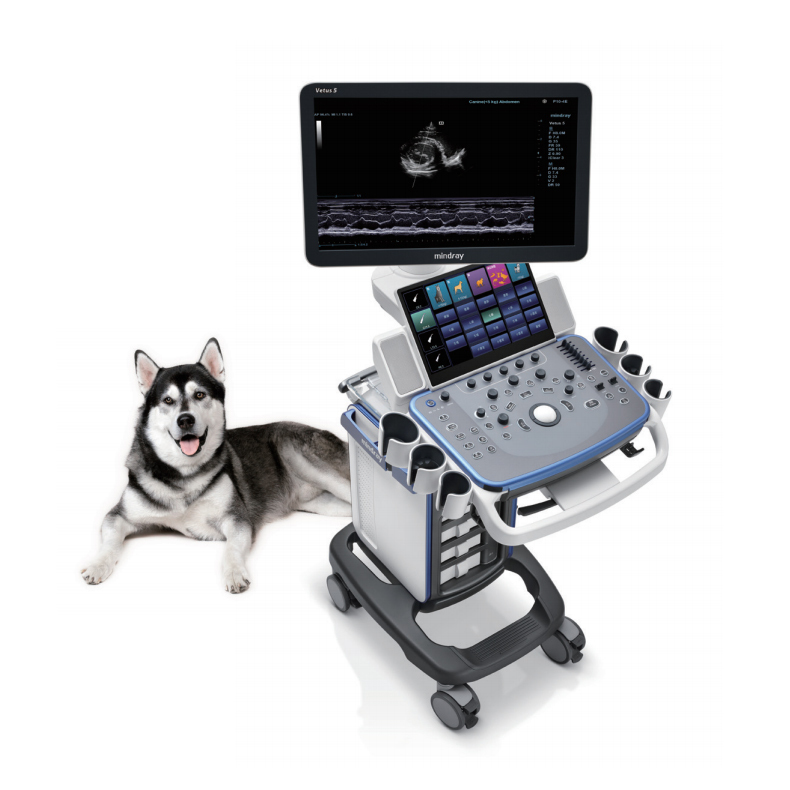 Portable Veterinary Instrument 5 6kw 100ma