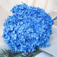 Bunga Sakura Hiasan Kering, Bunga Sakura Diawetkan Hydrangea Bunga Hias dan Tanaman Lainnya untuk Dekorasi Pernikahan Dekorasi Rumah