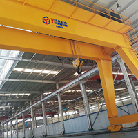 Grue portique à double poutre Goliath européenne pour usine de traitement des métaux