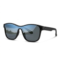 Lunettes de soleil pour activités de plein air, conduite, voyage, décontractées, été, plage, golf, pêche