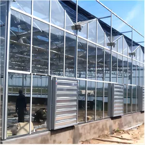 2024 vendita calda Smart commerciale serra di vetro agricolo con dwc idroponica per ortaggi a foglia