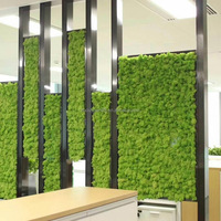 Décoration murale 3D décorative en mousse stabilisée, panneau de mousse de renne, mousse verte stabilisée pour aménagement paysager et décoration intérieure