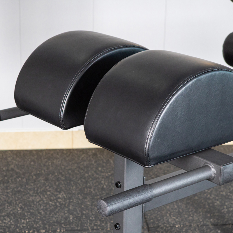 Développement du fessier et du jambon(图5)