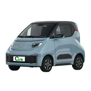 Newest Hot Sale Wuling NanoEV Pleasure Model Single Motor Front-Engine Front-Drive New Electric Vehicles