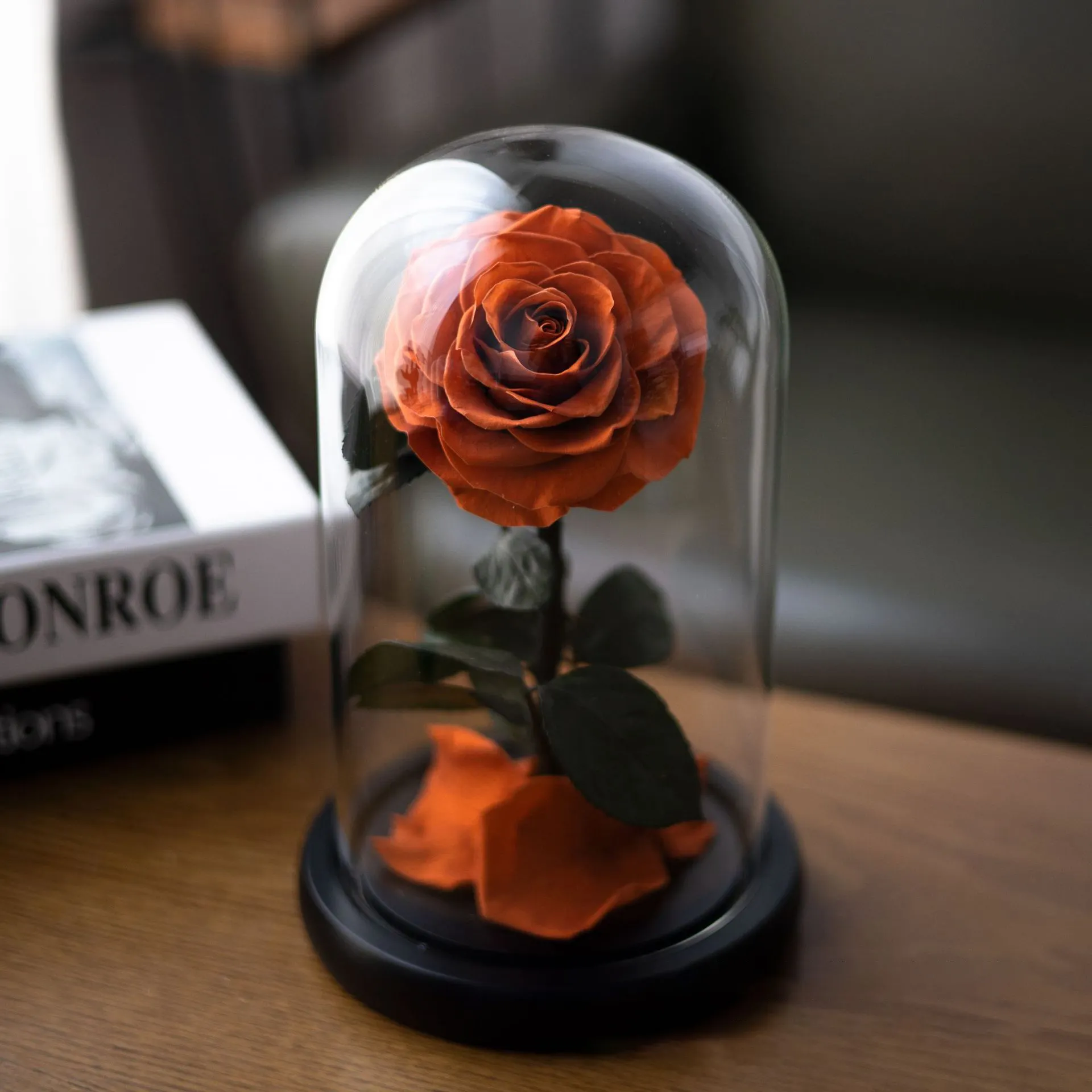 Real Natural Rose Belle Enchanted Mothers Day Gift Box Decor Everlasting Forever Eternal Rose Preserved Flower in Glass Dome LED