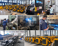 Minipala Compatta con Motore Diesel Personalizzabile, Benna da 0,12m, Pompa Idraulica EURO5 EPA CE per Edilizia, Agricoltura e Paesaggistica